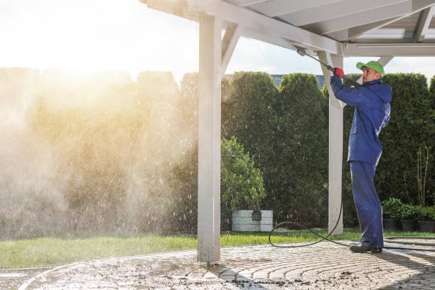 Best Vinyl Siding Pressure Washing in Otsego, MN